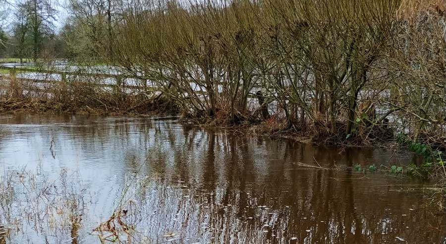 Flooded area
